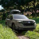 Las mejores rutas de road trip en México para descubrir paisajes espectaculares »